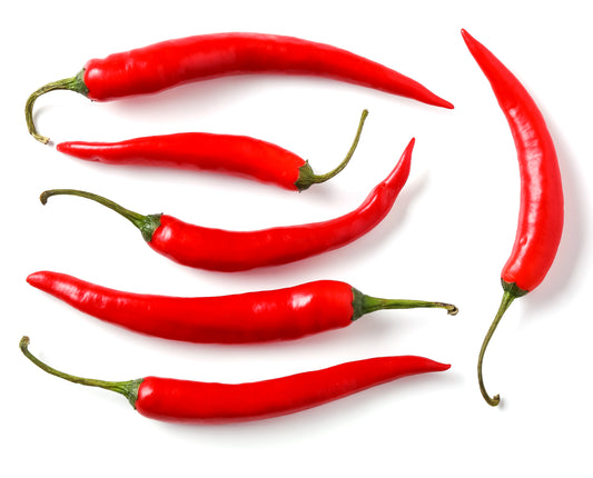Capsicum annuum