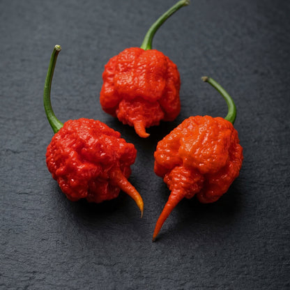 Peperoncino Carolina Reaper